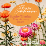 Flower Communion Sunday Worship May 26, 2024 10 am DuPage Unitarian Universalist rev. mandi huizenga